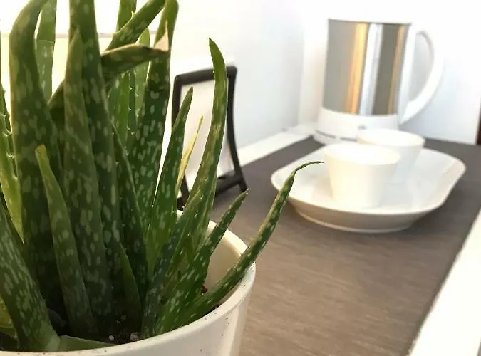 Homey I Pep's By The Sea Vendégház