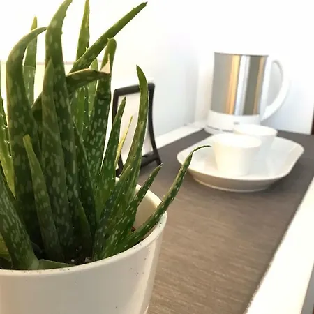 Pep's By The Sea Guest house